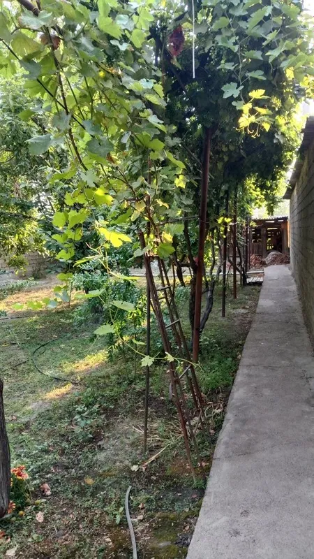 Srochna Olmaliq shahrida xovli uy sotiladi — фото 2
