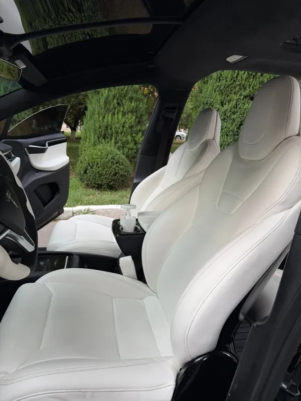 Tesla Model X Perfomance Duall Motor 6