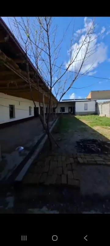 Победада 3 сотих уй сотилад 43000 уе уйлари эскии 3