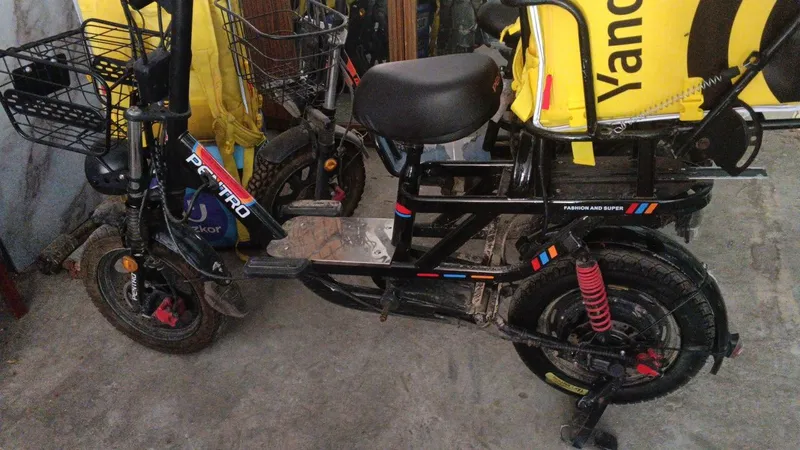 Pentro electric cycle 3