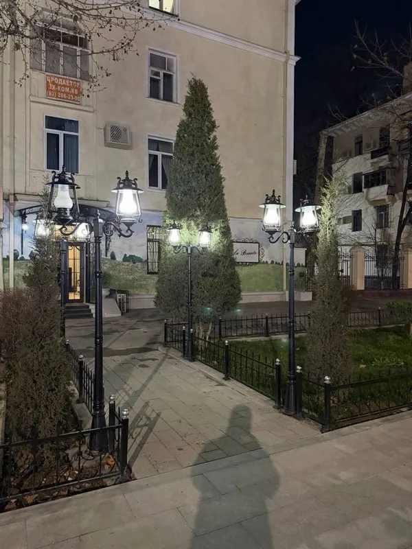 Шота Руставели Аския нежилое помещение 270кв.м первая линия срочно
