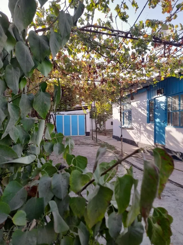 Продаётся уютный дом в центре города Алмалык 3