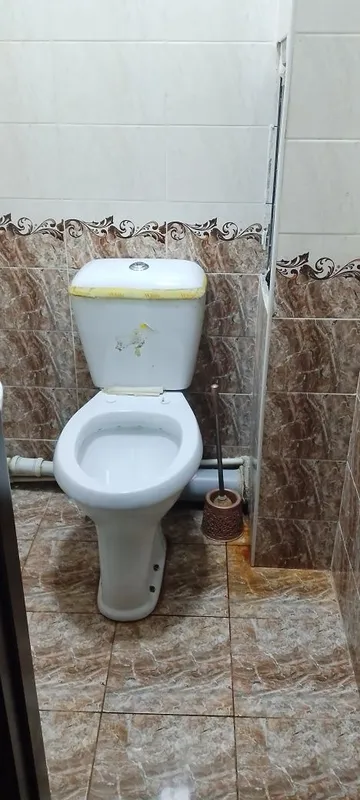 Ijaraga 1 xona beriladi (qizlar uchun) Chilonzor tumani Algoritm 3xona 6