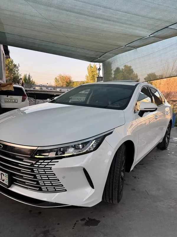 Byd Chazor gibrid 1 Byd Chazor gibrid 1