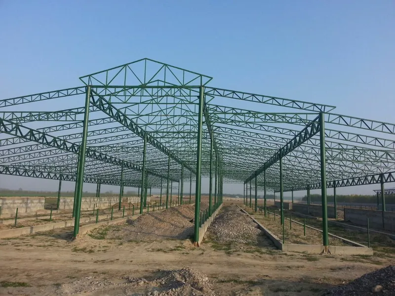 OʻZBEKISTON boʻylab dastafka ustamalar tekin