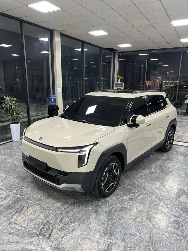 Dongfeng Nammi 06