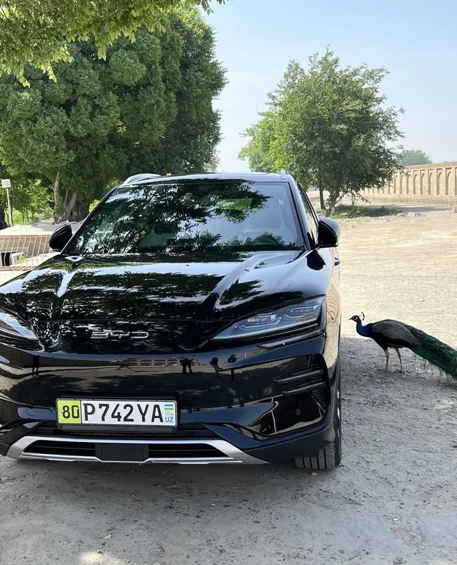 BYD CHempion на заказ 50$ 3 BYD CHempion на заказ 50$ 3