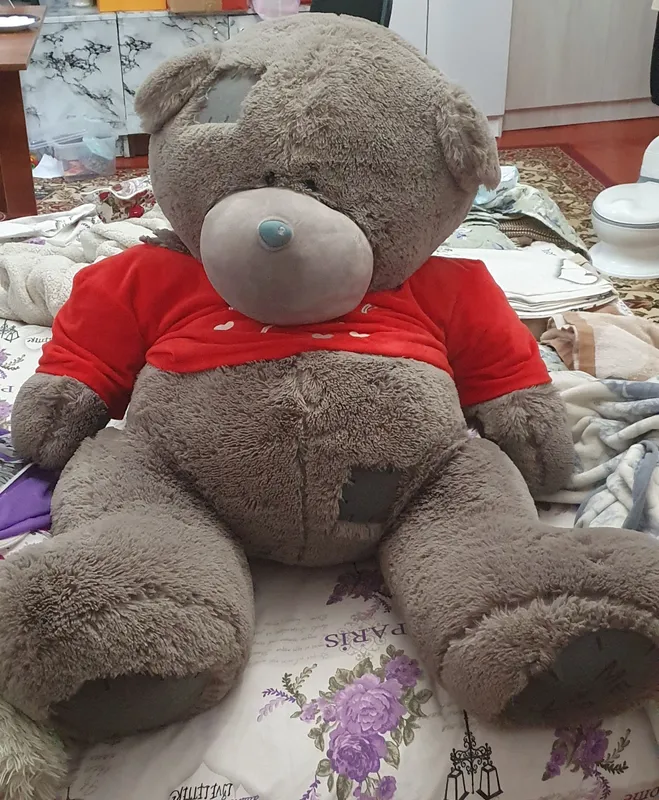 teddy ayigi katta razmerda
