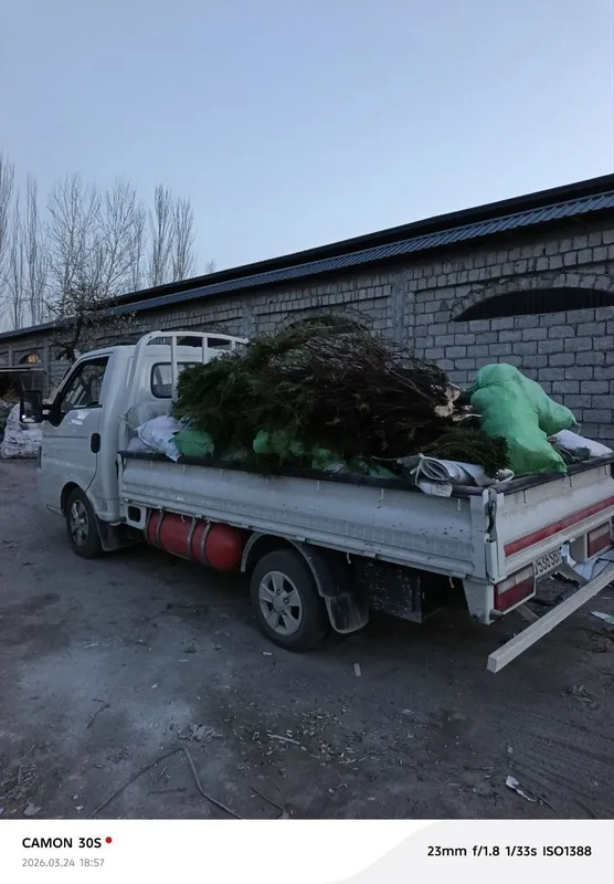 Вывоз строймусор мусор хлом 24 часа Чангам и лаба — фото 2