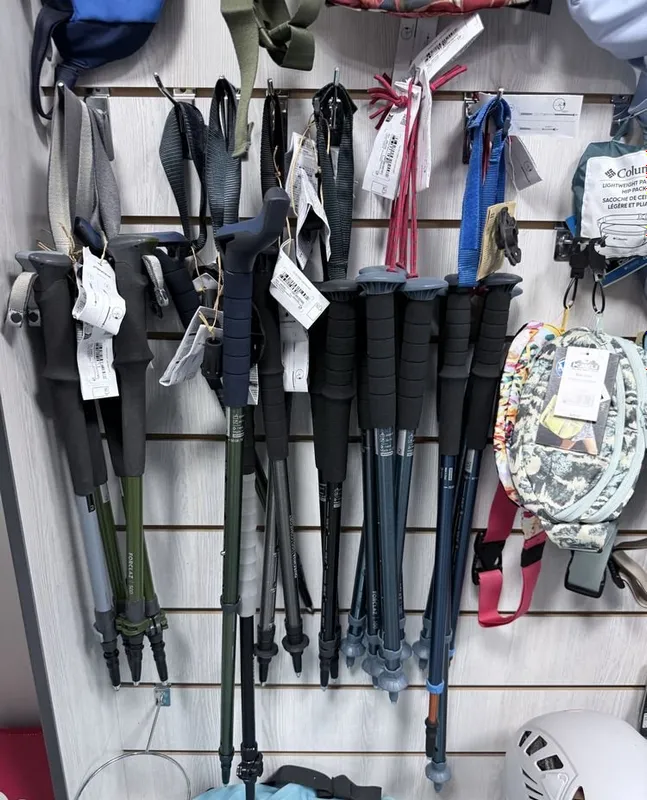 Fransiya Forclaz MT100 Decathlon — trekking tayoqlari, sayyohlik tayoği 2