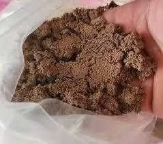 Artemiya cistasın saqlaw hám laboratoriya sınaw xızmetleri (hatching. 1 Artemiya cistasın saqlaw hám laboratoriya sınaw xızmetleri (hatching. 1