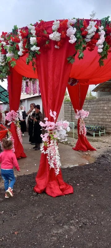 Ofarmlenya va sarpo qutilari sotiladi — фото 2
