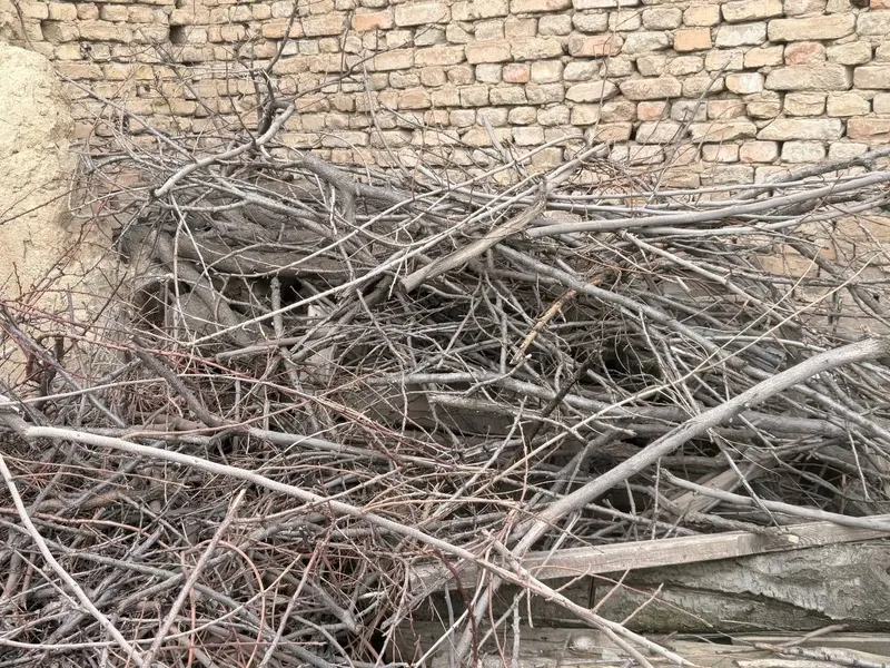 Otin srochna opketish sharti bilan arzonga beriladi 500 000 som — фото 1