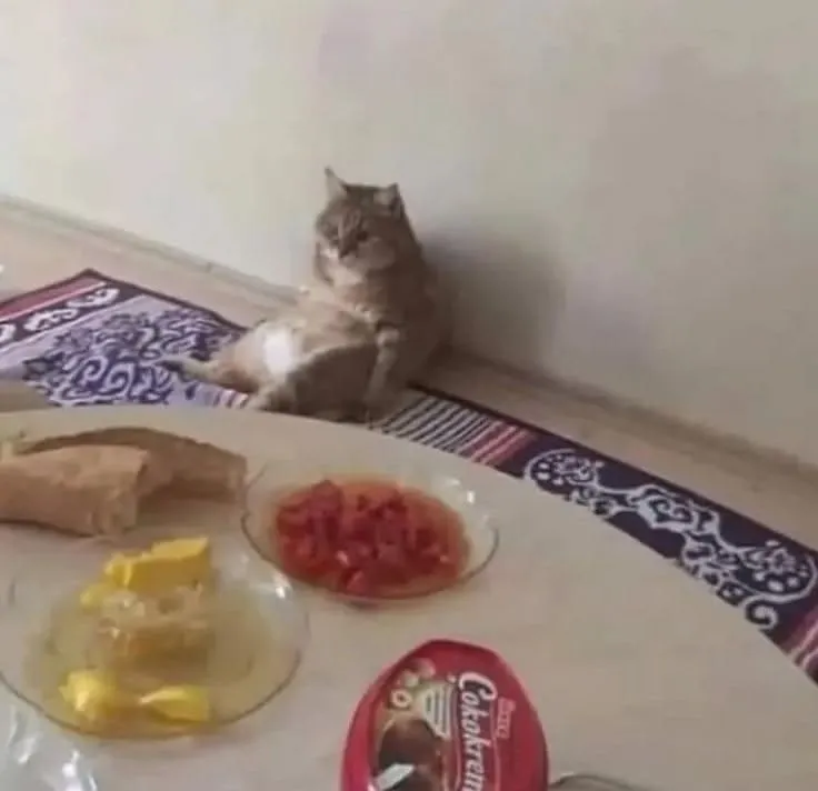 Учебный уголок нормальный состоянияда 3 Учебный уголок нормальный состоянияда 3
