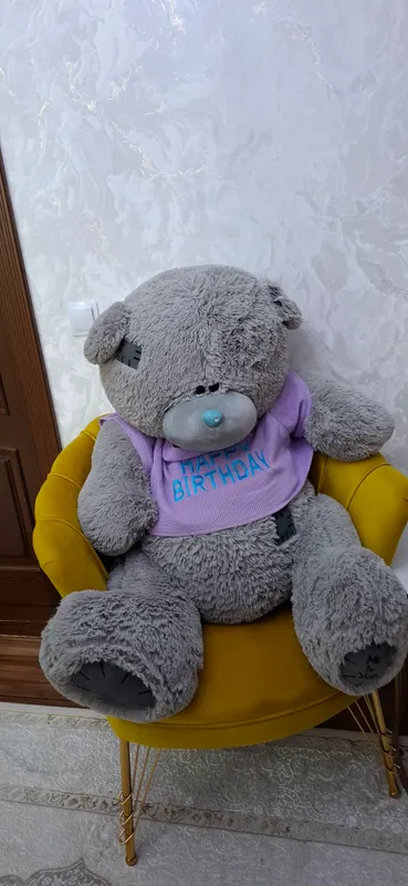 Teddi ayiqcha Teddi ayiqcha