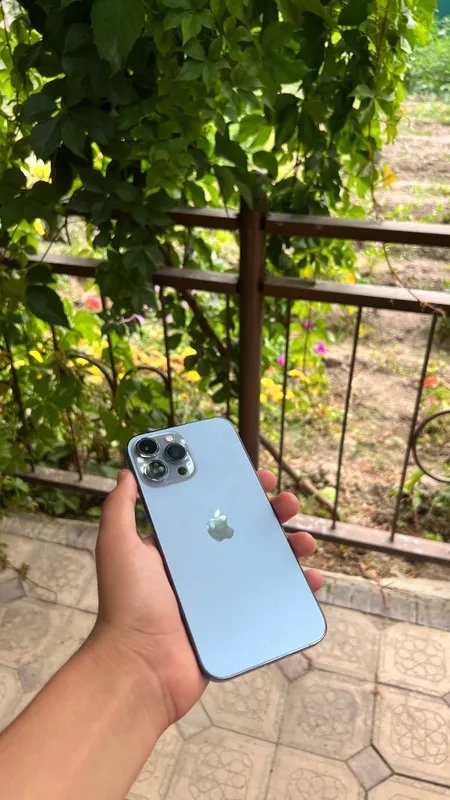 Iphone 13 pro max