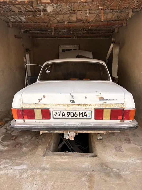 VOLGA 3102 1