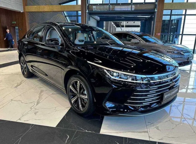 Byd Chazor Rasssrochkaga