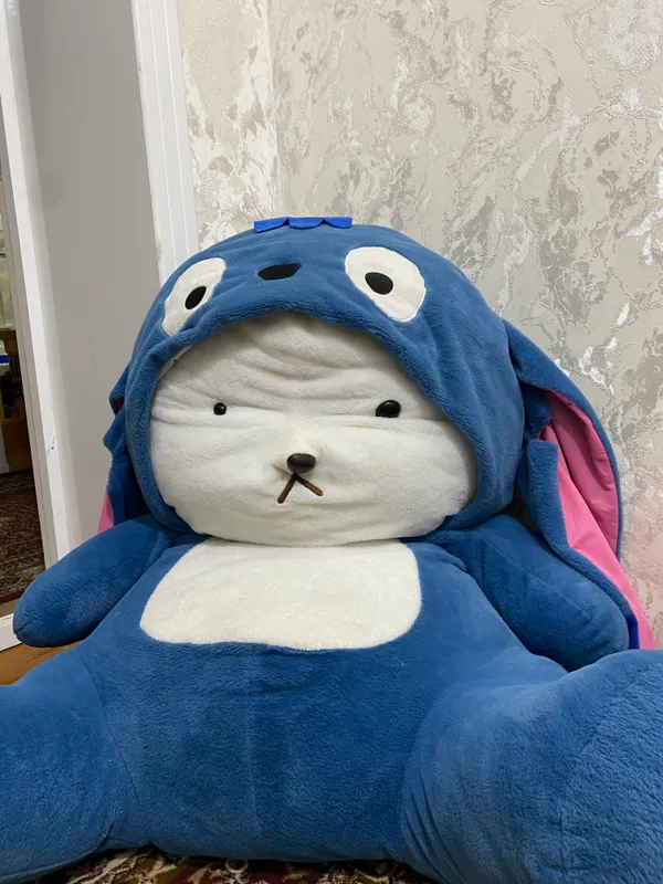 Trenddaki ayiq