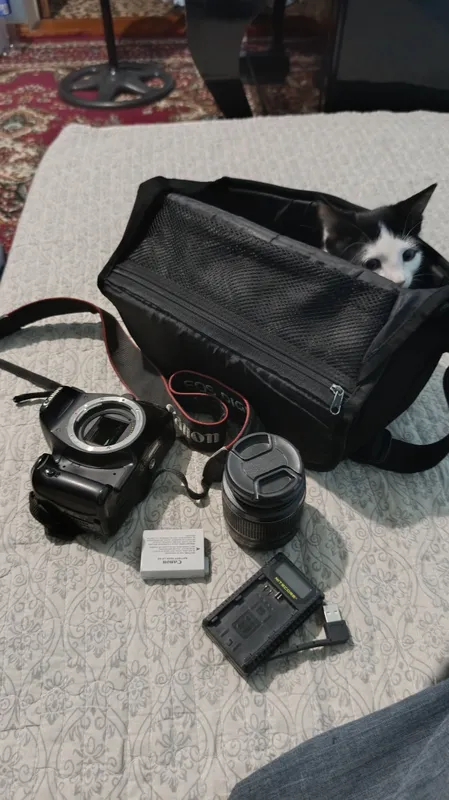 Canon 600d 4