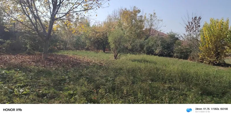 Gazalkent tumani