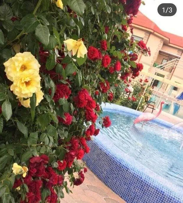 продажа дома Чирчик — фото 7