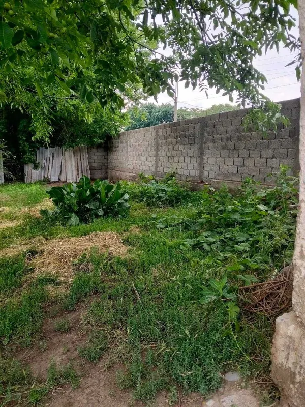 3 sotix xususiylashtirilgan yer maydoni — фото 2