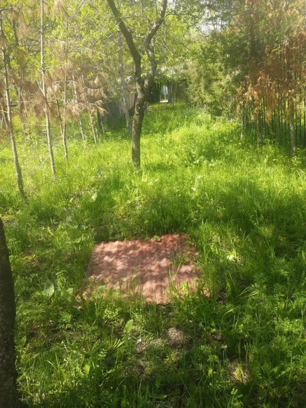 Срочно продам дачу 7 Срочно продам дачу 7