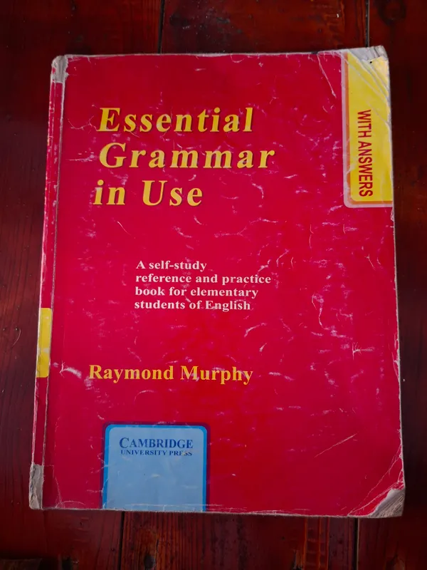 Essential Grammar in Use 1
