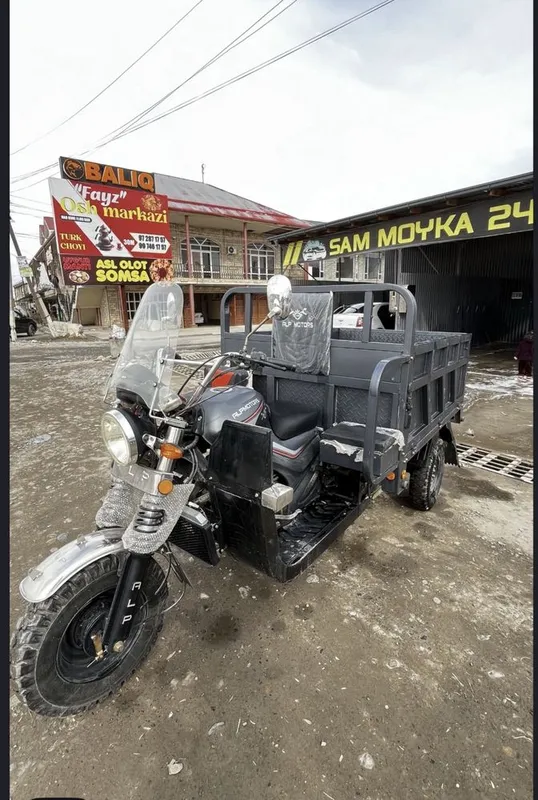 Alp motors motorol