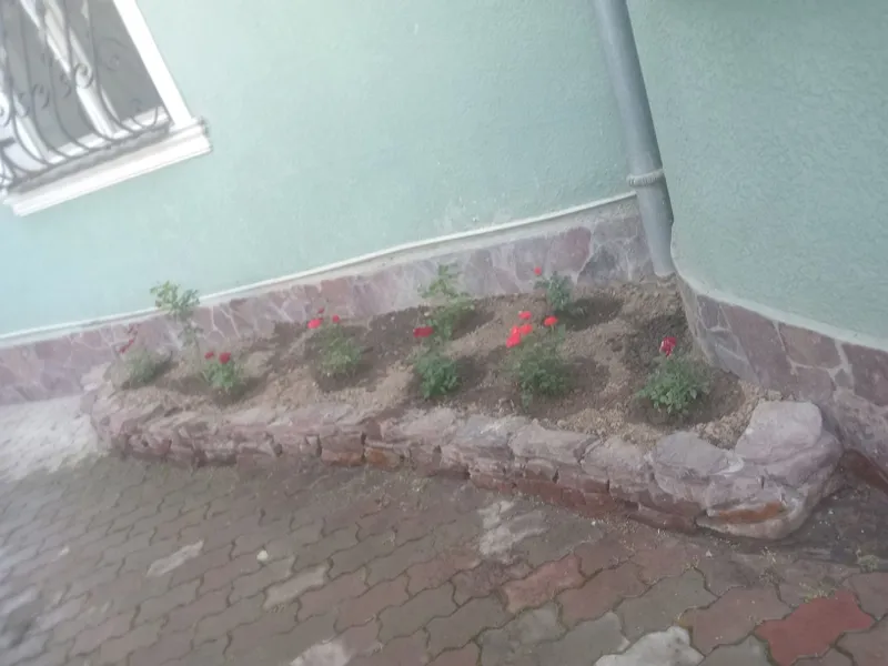 Садовник богбон Уборщик тозаловчи Обработка дориловчи — фото 2