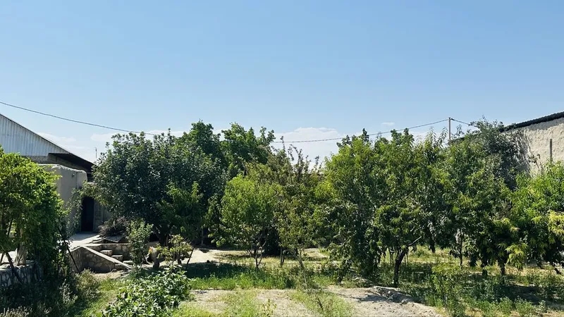 Yer sotiladi Buxoro moshin bozor uchastkalari 2 Yer sotiladi Buxoro moshin bozor uchastkalari 2