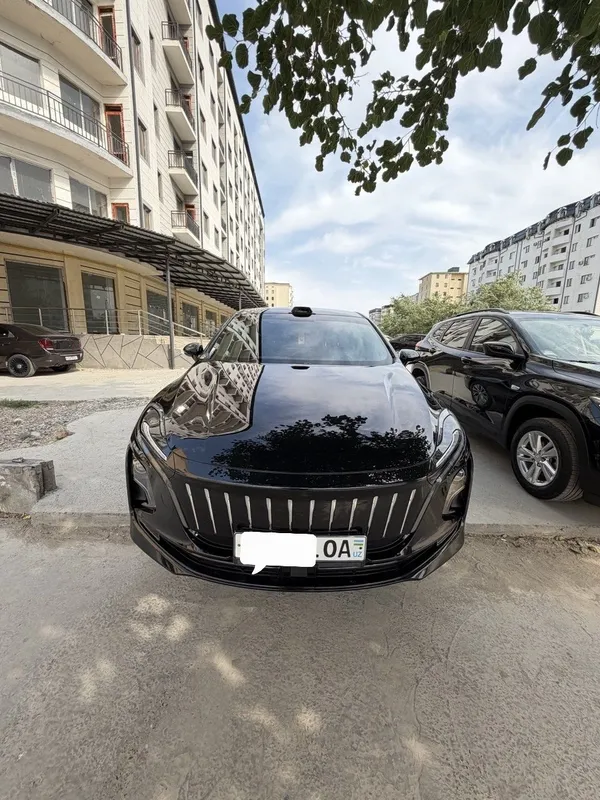 Hongqi e-qm5 elektromobil