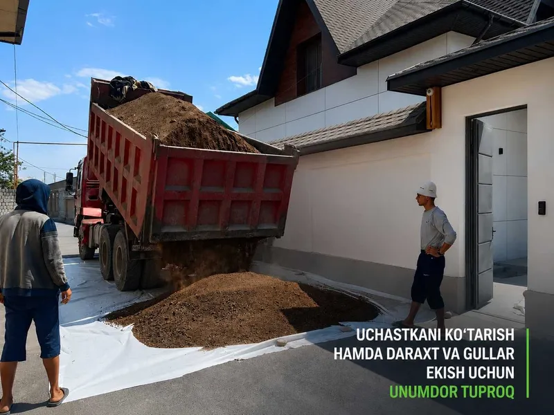 Hovli darajasini ko‘tarish va daraxt ekish uchun unumdor tuproq — фото 1