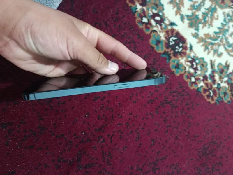 Iphone 12 Pro Max 3