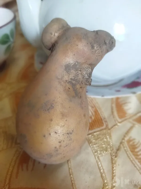 Kartoshka shaklidagi haykalchalar sotiladi 3 Kartoshka shaklidagi haykalchalar sotiladi 3