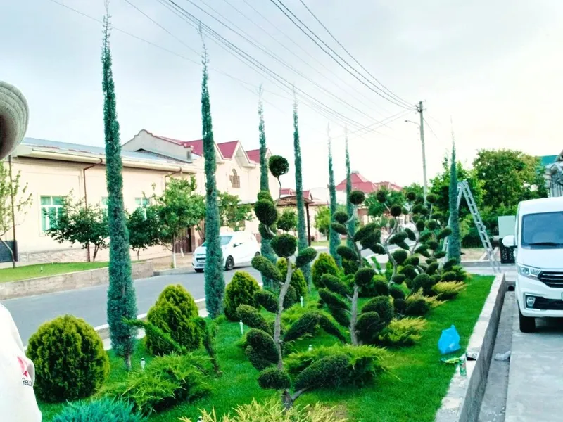 Archa kesish dorilash va Gazon ikkish 5 Archa kesish dorilash va Gazon ikkish 5