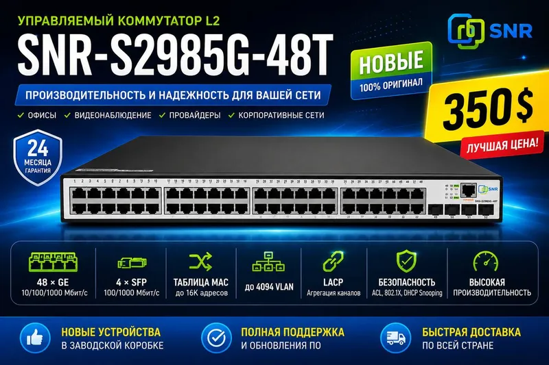 SNR-S2985G-48T