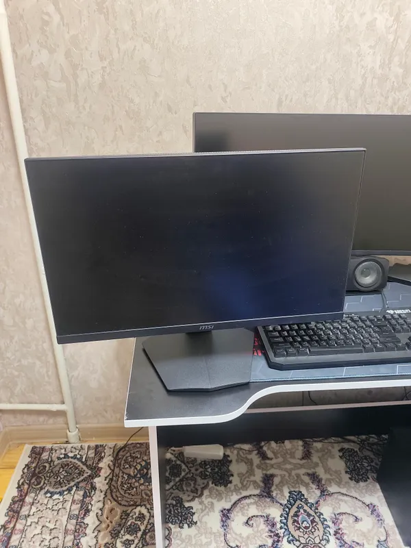MSI 25" 165hz monitor