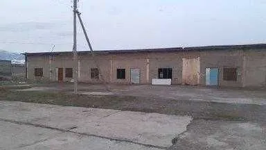 Omborxona binosi