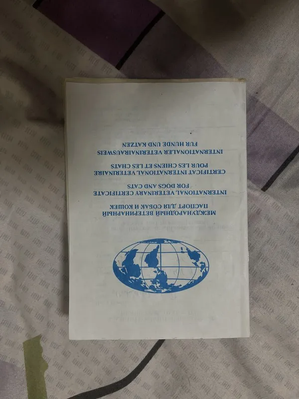 щенки немецкой овчарки, документы имеються 5 щенки немецкой овчарки, документы имеються 5
