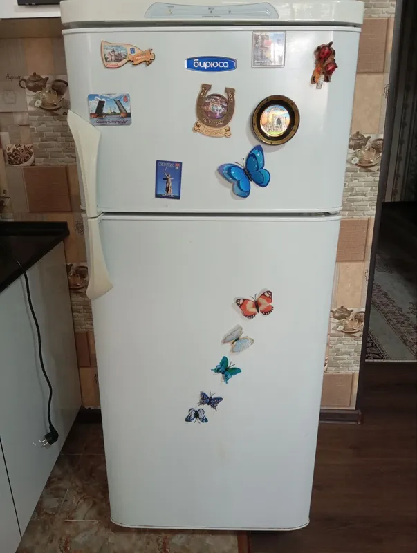 Холодильник Бирюса