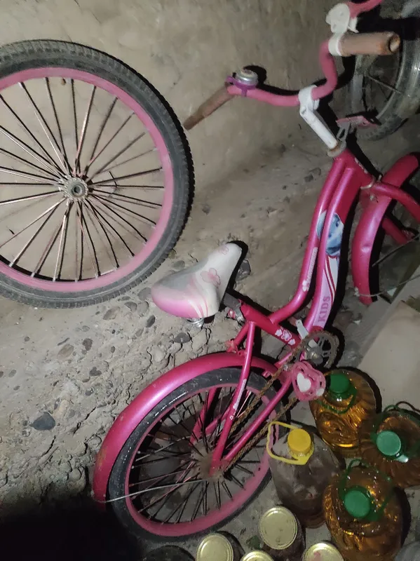 velosiped