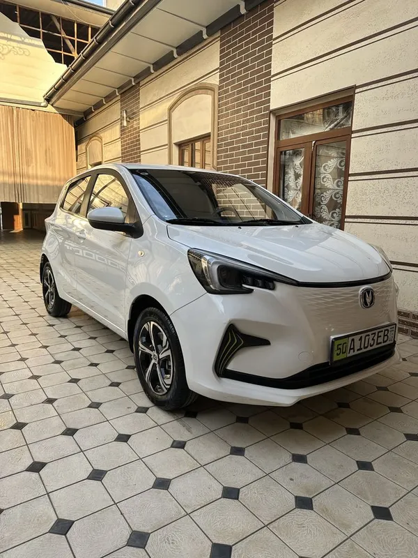 Changan ben ben estar 8
