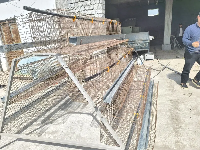 Tovuqxona sotiladi xitoy 20.000 komplek komplekti 650.000 ming so'mt 1 Tovuqxona sotiladi xitoy 20.000 komplek komplekti 650.000 ming so'mt 1