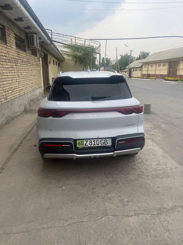 yuan up byd 2025 3 yuan up byd 2025 3