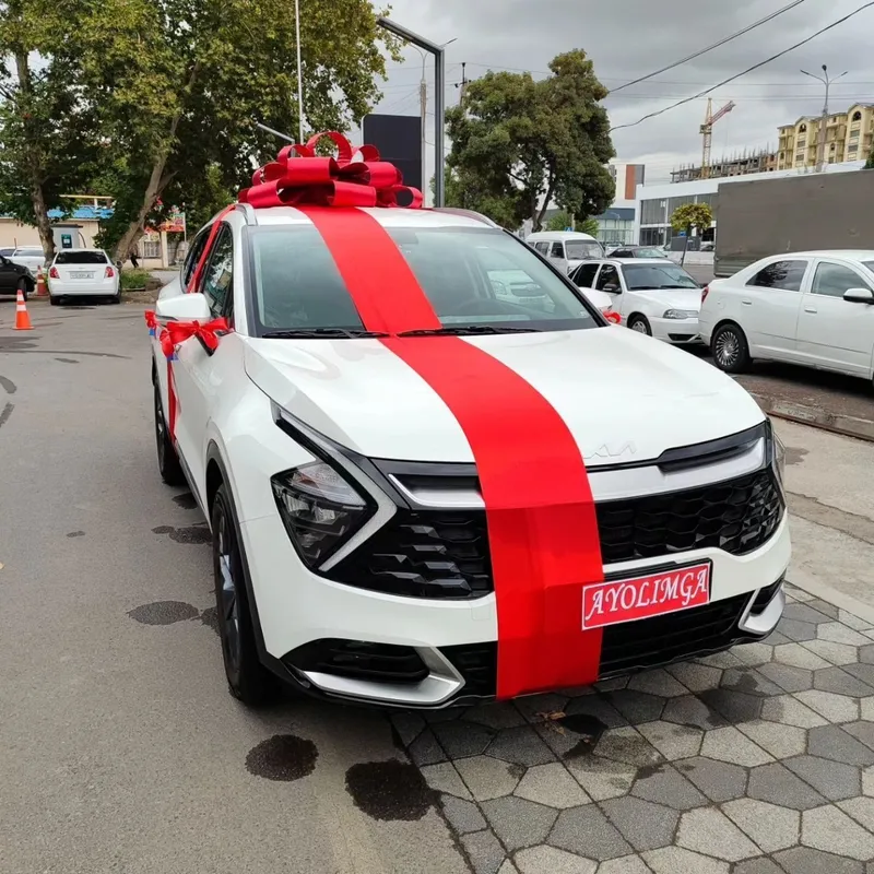 Lenta Avtobantik , бант для машины,лента — фото 2