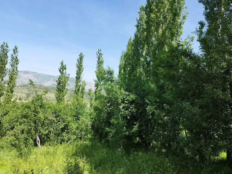 Земельный участок 10+8 сот с ордером в горах /Нанай/ — фото 3