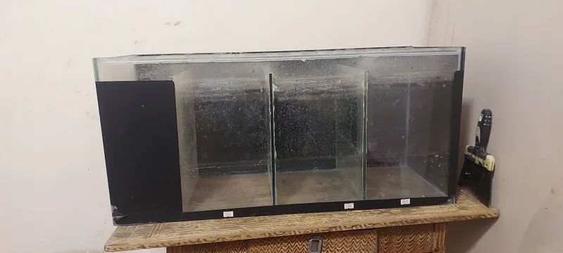 Vitrinali va oddiy akvarium 4 Vitrinali va oddiy akvarium 4
