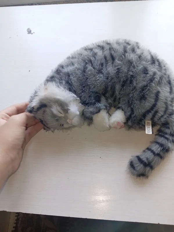 Котёнок, который мяукает 1